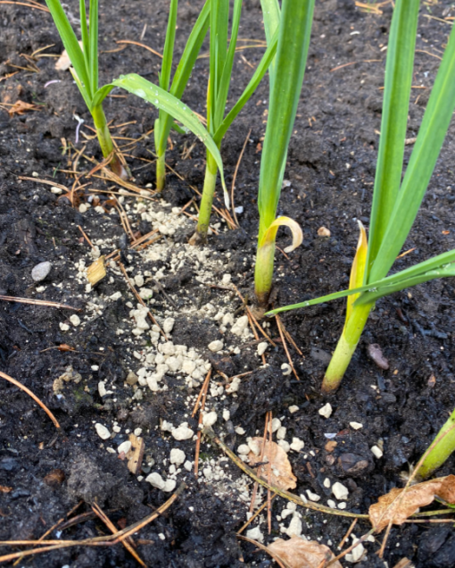 Kleimineralen BioMineral verkrijgbaar bij DeDuurzameTuin.nl