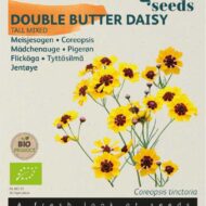 Coreopis Tinctoria Meisjesogen Buzzy Organic zaden