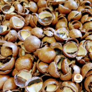 macadamia doppen verkrijgbaar bij DeDuurzameTuin.nl