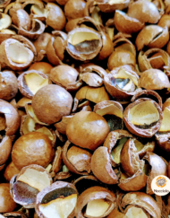 macadamia doppen verkrijgbaar bij DeDuurzameTuin.nl