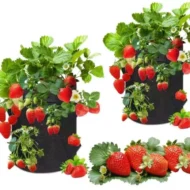 PlantGrowBag Staand – Kweekzak 38 liter
