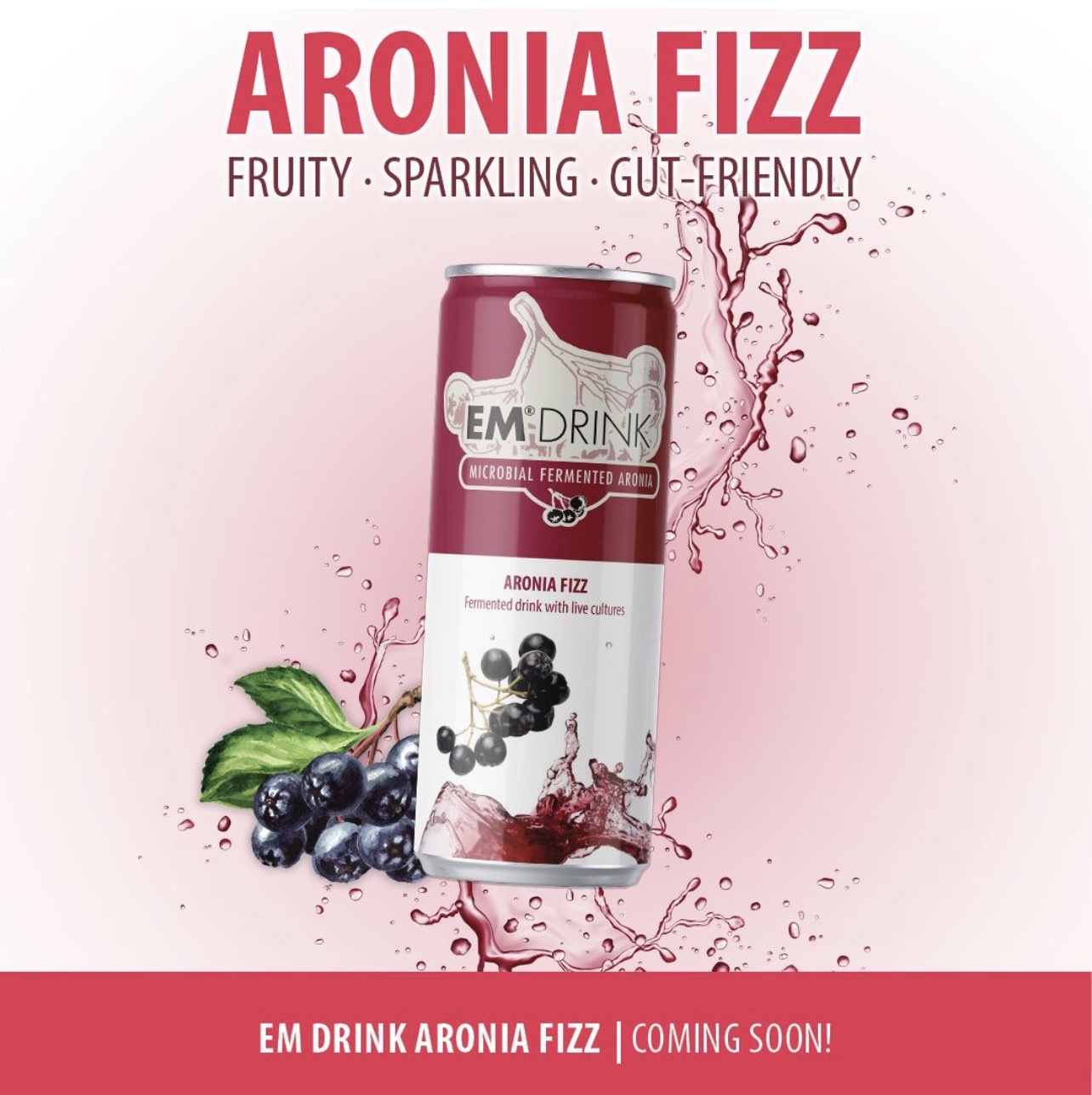Gefermenteerde aroniadrank EM Drink Aronia Fizz suikervrij en glutenvrij