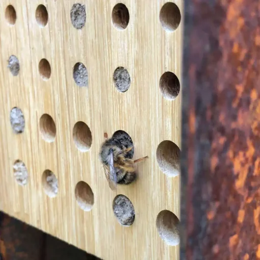 Bee&Bee Design bijenhotel voor solitaire wilde bijen