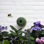 Groen Heeej Cactus wand-vogelvoederhuisje voor tuinvogels
